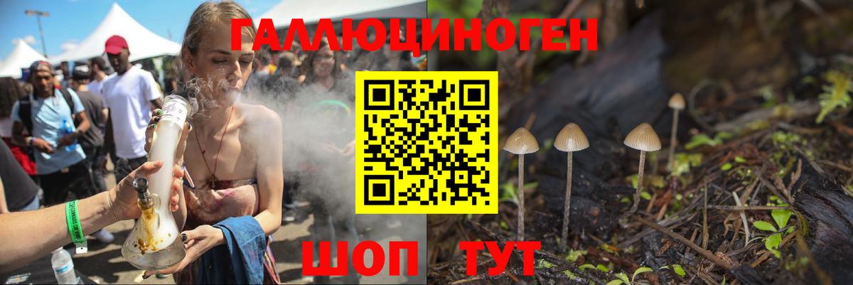 Псилоцибиновые грибы прущие грибы Орск
